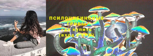 гидропоника Балахна